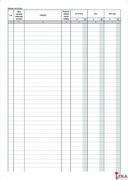 430-1 Księga kontowa A4 MICHALCZYK I PROKOP (X)