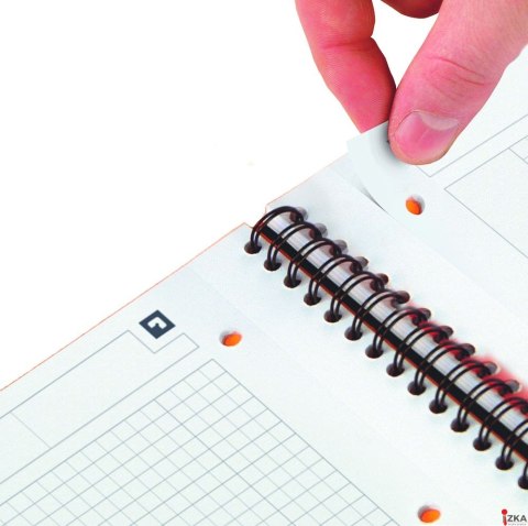 Kołonotatnik A4 80 kartek, linia / tagi, INTERNATIONAL, OXFORD, 100104036