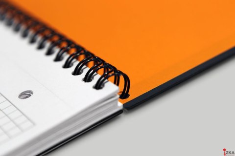 Kołonotatnik A4 80 kartek, linia / tagi, INTERNATIONAL, OXFORD, 100104036