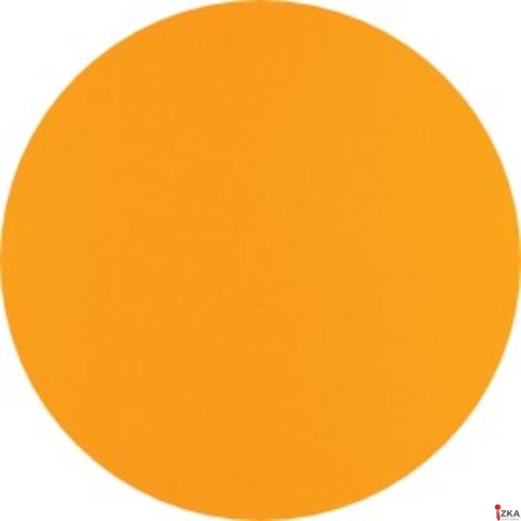 Kołonotatnik A4 80 kartek, linia / tagi, INTERNATIONAL, OXFORD, 100104036