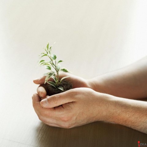 Bloczki ekologiczne POST-IT (653-1GB), 38x51mm, 6x100 kart., mix kolorów