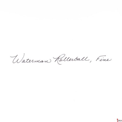 Pióro kulkowe Waterman Expert Stalowy GT, S0951980