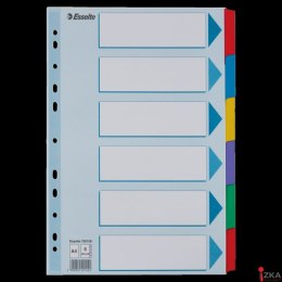 Przekładki, kolorowy karton, karta opisowa Mylar A4, Esselte, 6 kart, , 100168 (X)