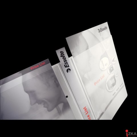 Segregator PANORAMA A4+ 4RR/16 29mm biały ofertowy LEITZ 42820001