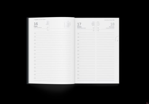 Kalendarz Dzienny A5 Czapla 2024 9588476 Herlitz