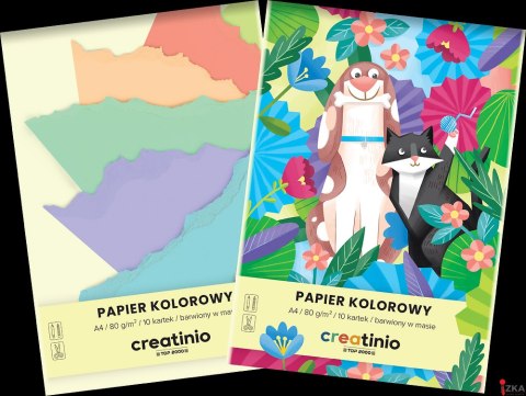 PAPIER KOLOROWY TOP 2000 CREATINIO A4 10K 80G 400176684