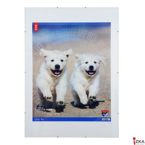 Antyrama szkło B2 50x70 MAN050070-47