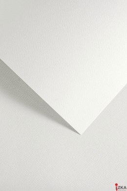 Karton ozdobny SAWANNA biały (20) 200g/m2 204801 ARGO