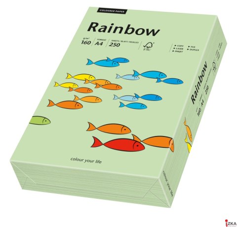 Papier xero A4 160g miętowy/seledynowy /przygaszona zieleń R75 (250) RAINBOW 88042637 (X)