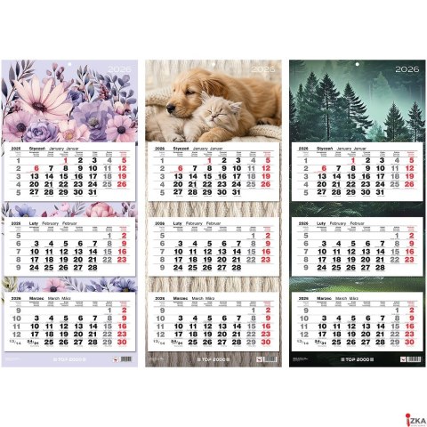 Kalendarz trojdzielny Top 2000 mix 2026 31x71cm 400204171