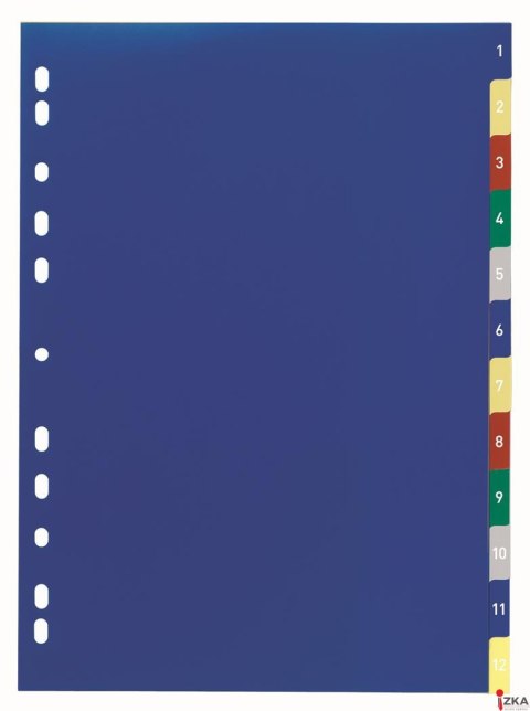 Przekładki PP A4, kolorowe indeksy, 1-12 Pięciokolorowy 675027 DURABLE