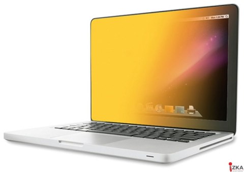 Bezramkowy filtr prywatyzujący 3M_ (GPF14.0W9), do laptopów, 16:9, 14, złoty