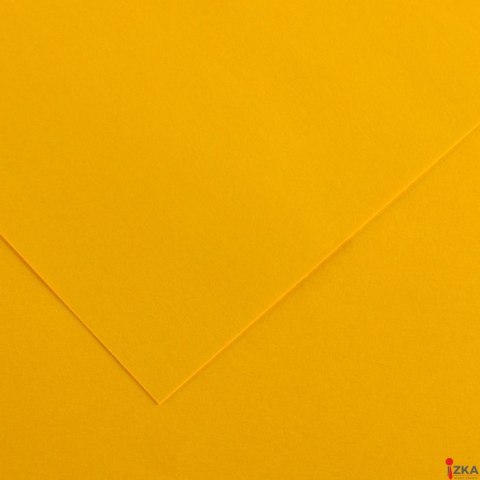Karton IRIS A3 185g 50 ark. złocisto żółty C200040184