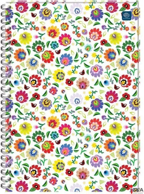 Kołobrulion A4 160k kratka z kolorowymi marginesami INTERDRUK