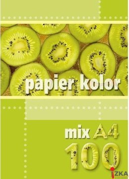 Papier xero A4 mix kolorów 160g (100 arkuszy) KRESKA.
