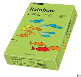 Papier xero kolorowy A3 80g 500 ark. RAINBOW R76 zielony 88042654
