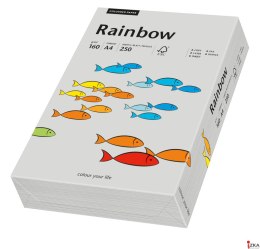 Papier xero kolorowy A4 160g 250 ark. RAINBOW R96 szary 88042813