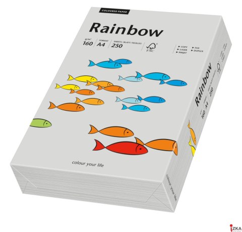 Papier xero kolorowy A4 160g 250 ark. RAINBOW R96 szary 88042813