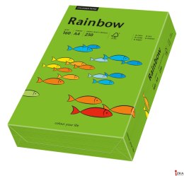 Papier xero kolorowy A4 80g 500 ark. RAINBOW R78 ciemnozielony 88042681