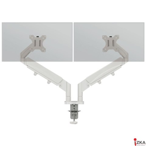 Podwójne ramię Leitz Ergo do monitora, jasnoszare 65370085