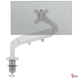 Pojedyncze ramię Leitz Ergo do monitora, jasnoszare 64890085