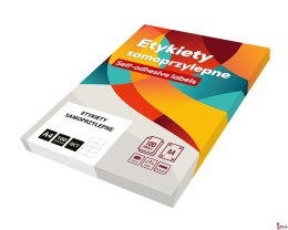 Etykiety A4 105mm x 148mm (100) białe Basic 029 EMERSON eta4i105x148wbas