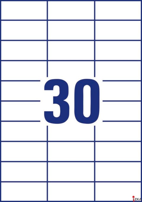 Trwałe etykiety uniwersalne 3489 70x29,7 100ark Avery Zweckform