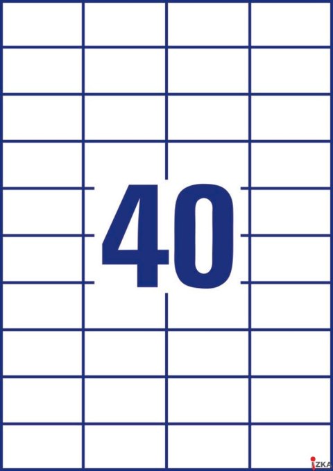 Trwałe etykiety uniwersalne 3651 52,5x29,7 100ar Avery Zweckform