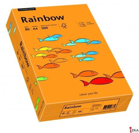 Papier xero kolorowy RAINBOW pomarańczowy R24 88042431