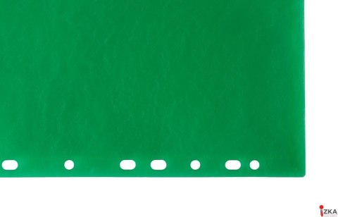 Teczka koperta A4 ps zawieszana - zielona TKZ-13-02 BIURFOL