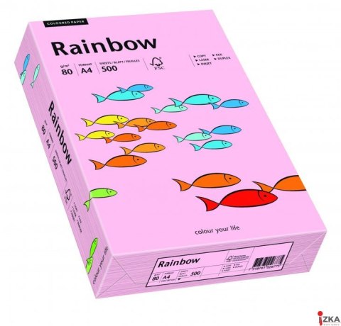 Papier xero kolorowy RAINBOW jasnoróżowy R54 88042519