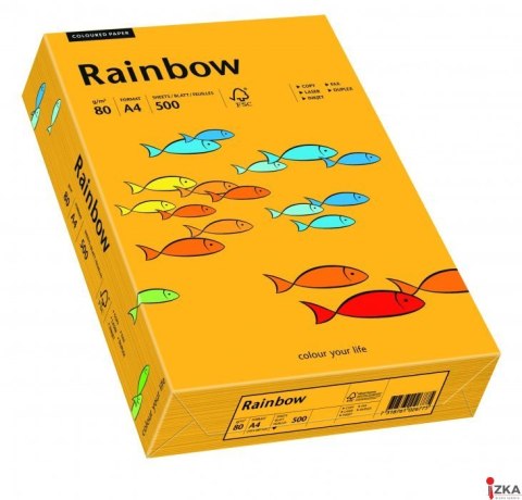 Papier xero kolorowy RAINBOW jasnopomarańczowy R22 88042409