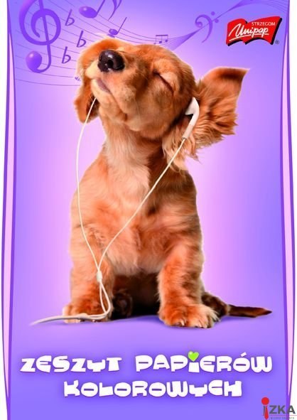 Zeszyt pap.kolor.A4 10k UNIPAP