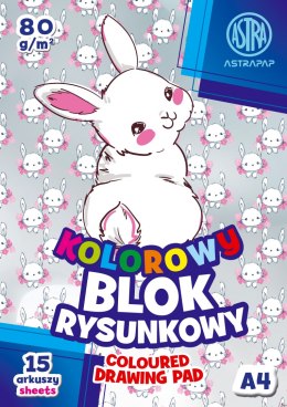 Blok kolorowy barwiony w masie ASTRAPAP A4 80g 15 ark BS&Rabbit, 106021003