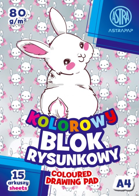 Blok kolorowy barwiony w masie ASTRAPAP A4 80g 15 ark BS&Rabbit, 106021003