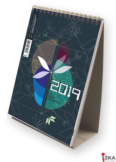 Planer miesięczny 2024 Michalczyk i Prokop T-108S-2 kalendarz ścienny