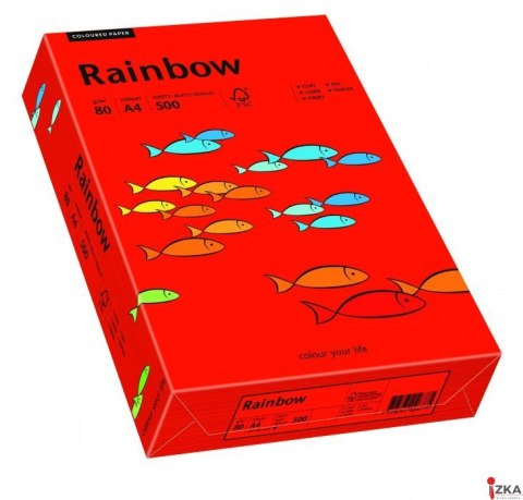 Papier xero kolorowy RAINBOW ciemnoczerwony R28 88042475