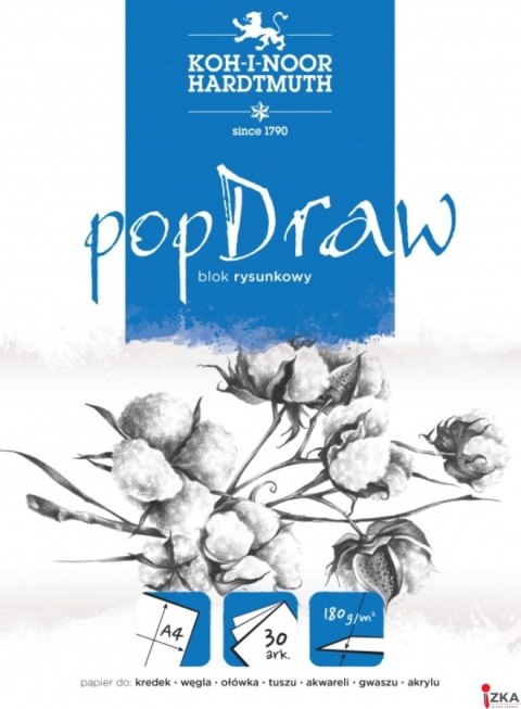 Blok rysunkowy POP DRAW A4 30 arkuszy 180g BLO-RYA4PO 9920/5