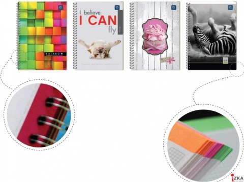 Kołozeszyt_B5 160k kratka z kolorowymi marginesami mix INTERDRUK