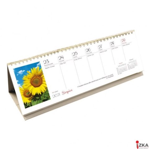 Terminarz IMPRESJE-ze spiralką 2026 Michalczyk i Prokop T-095-2-1 KALENDARZ 290x100mm tygodniowy