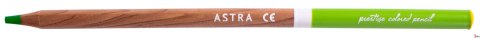 Kredki z drewna cedrowego w metalowym pudełku Astra Prestige 48 kolorów, 312121003