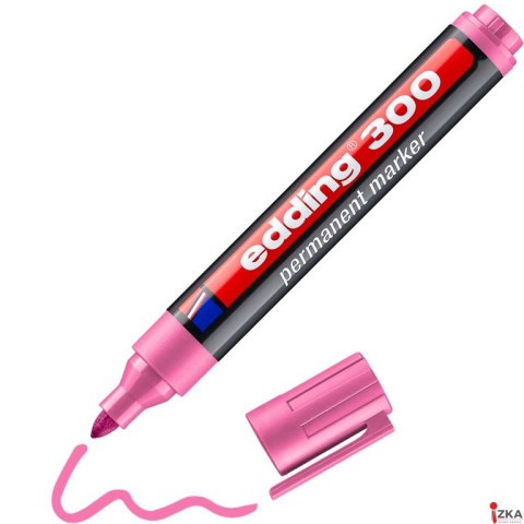 Marker-foliop.300 różowy EDDING końcówka okrągła