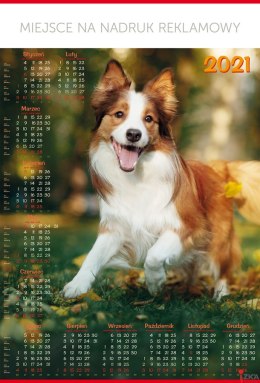 Kalendarz Plakatowy B-1, P18 - PIES 2024 TELEGRAPH