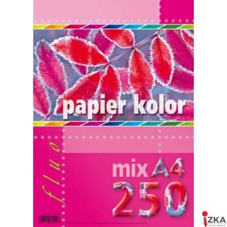 Papier kredowy A4 FLUO mix 5 kolorów (250 arkuszy)5kol KRESKA