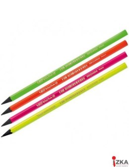 Ołówek EVOLUTION FLUO bez gumki 940757 BIC