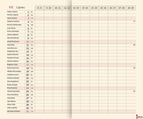 Terminarz Mini 87x145mm 2026 Michalczyk i Prokop T-MINI-05 KALENDARZ