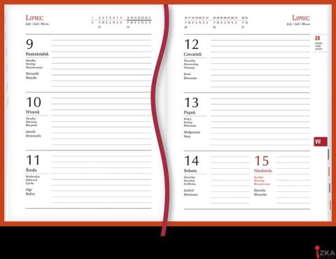 Terminarz OLA A6 2026 Michalczyk i Prokop T-212F-04 KALENDARZ tydzień na 2 stronach