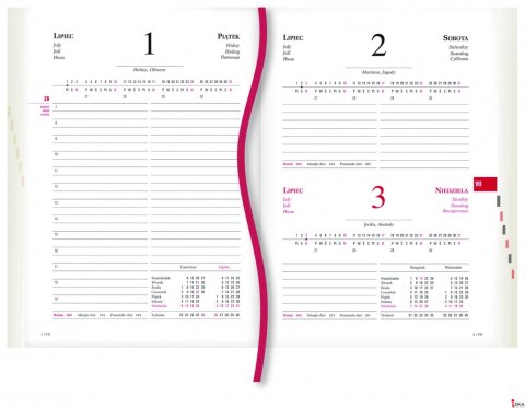 Terminarz Powszechny B6 2026 - bordowy Michalczyk i Prokop T-200V-B kalendarz dzienny