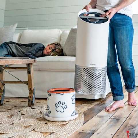 Wymienny węglowy filtr dla właścicieli zwierząt Leitz TruSens Z-3000 2415132