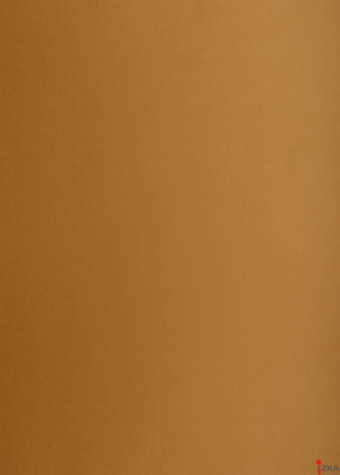 Karton kolorowy A3 160g 25ark brązowy 400150231 OXFORD